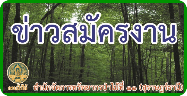 ข่าวสมัคงาน สำนักจัดการทรัพยากรป่าไม้ ที่ 11 (สุราษฎร์ธานี)